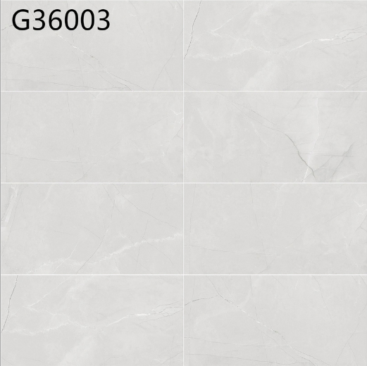 G36003 300-600